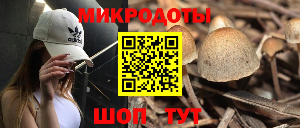 Псилоцибиновые грибы ЛСД Норильск
