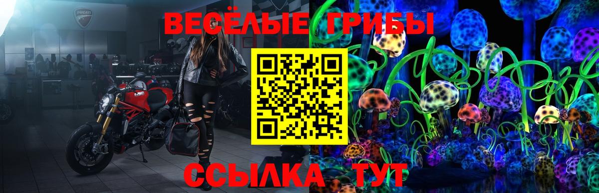 что такое наркотик  Псилоцибиновые грибы Psilocybine cubensis  Вход с VPN  Норильск 