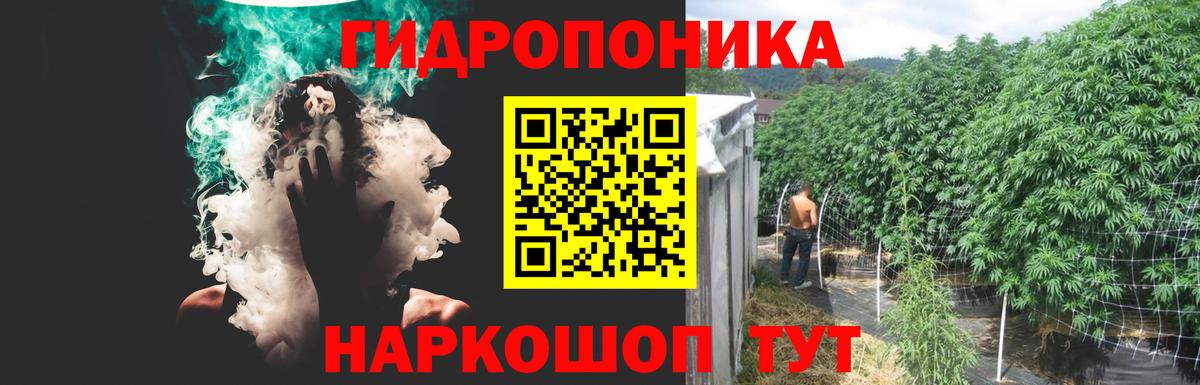 Бошки Шишки сатива Норильск